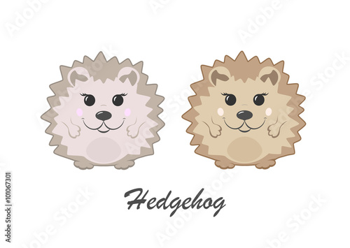 Two hedgehogs
