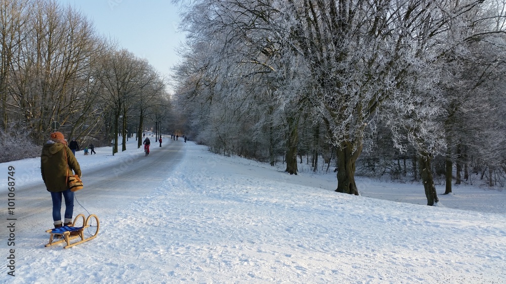 snowy road snowy road