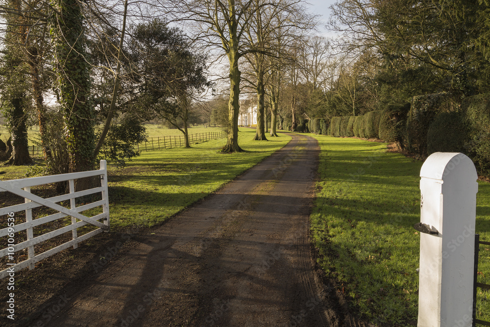 Driveway To The Hall