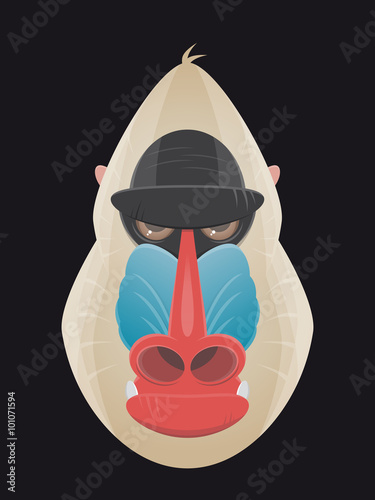 affe mandrill kopf wild böse
