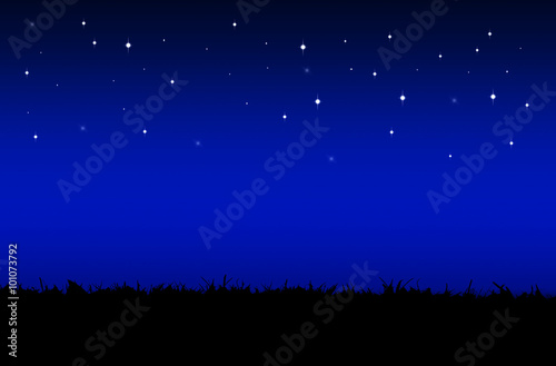 star night sky above the field