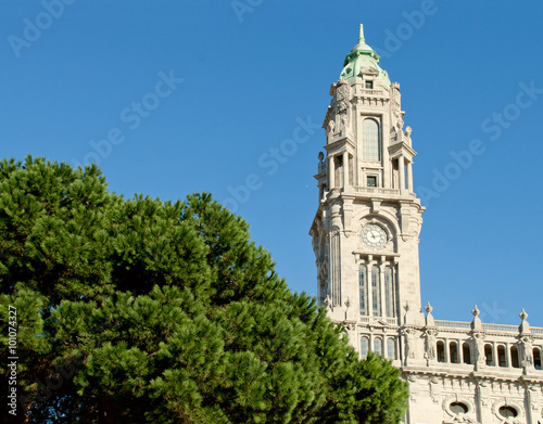 Town Hall building, Camara Municipal do Porto, with a pine tree on Liberdade Square. Porto, Portugal