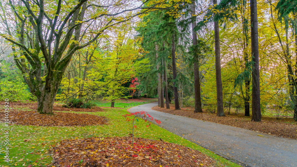 Naklejka premium Washington park arboretum, Autumn