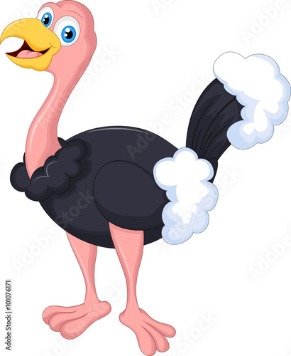 cute ostrich cartoon
