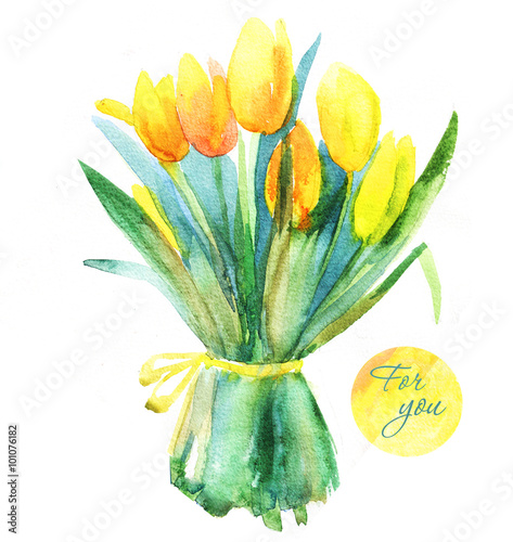 Fototapeta Naklejka Na Ścianę i Meble -  watercolor illustration of yellow tulips on white background