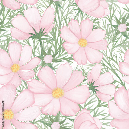 Light rose flower watercolor pattern cosmos isolated on white background vector.
