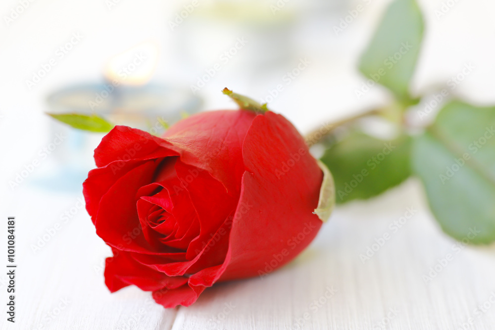 Fototapeta premium Stock Photo:.Beautiful red roses on table close-up