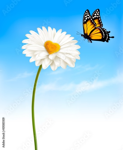 Daisy with a heart shaped middle and a butterfly. Vector.