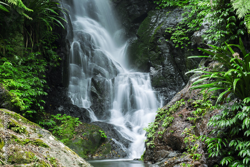 Waterfall in Lamington National Park in Queensland  Australia.