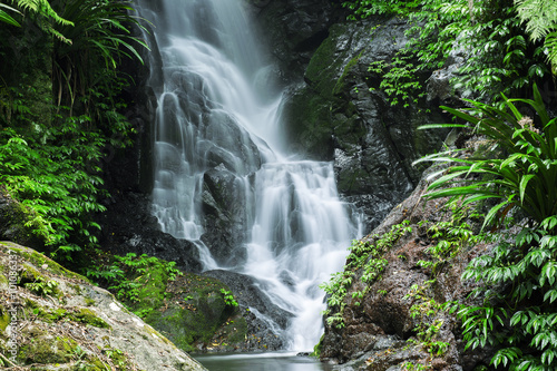 Waterfall in Lamington National Park in Queensland, Australia. photo