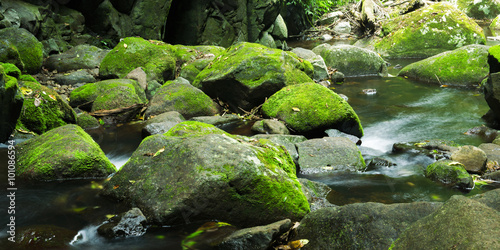 Waterfall in Lamington National Park in Queensland, Australia.