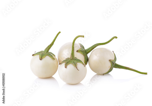 white eggplant  on white background