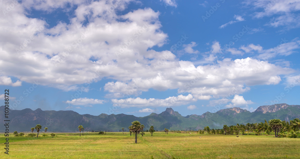 Naklejka premium Beautiful landscape on mountain with nice blue sky