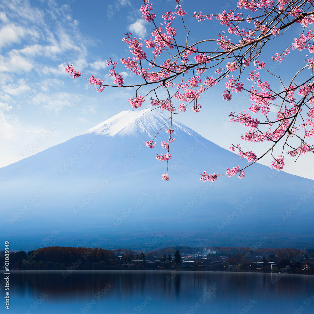 Fototapeta premium Mt. fuji and cherry blossom at lake kawaguchiko
