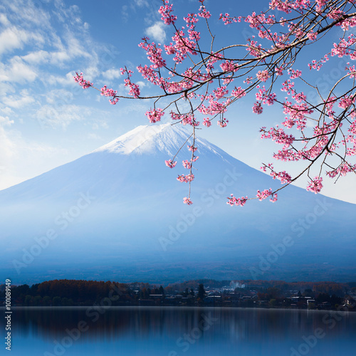 Mt. fuji and cherry blossom at lake kawaguchiko