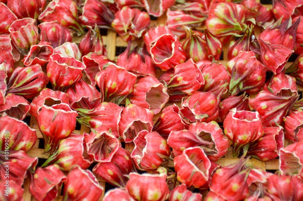 dry red roselle flower