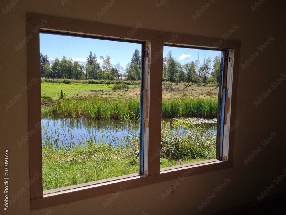 Fototapeta premium window view