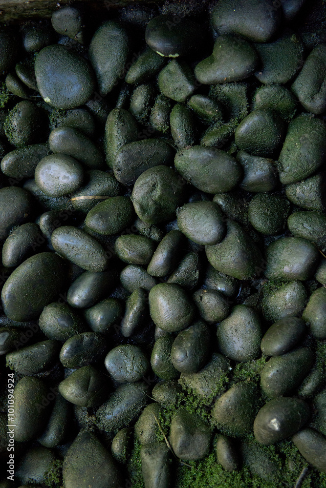 Black pebbles for texture and background Shining smooth natural beach stones or rocks Black pebbles for texture and background Shining smooth natural beach stones or rocks