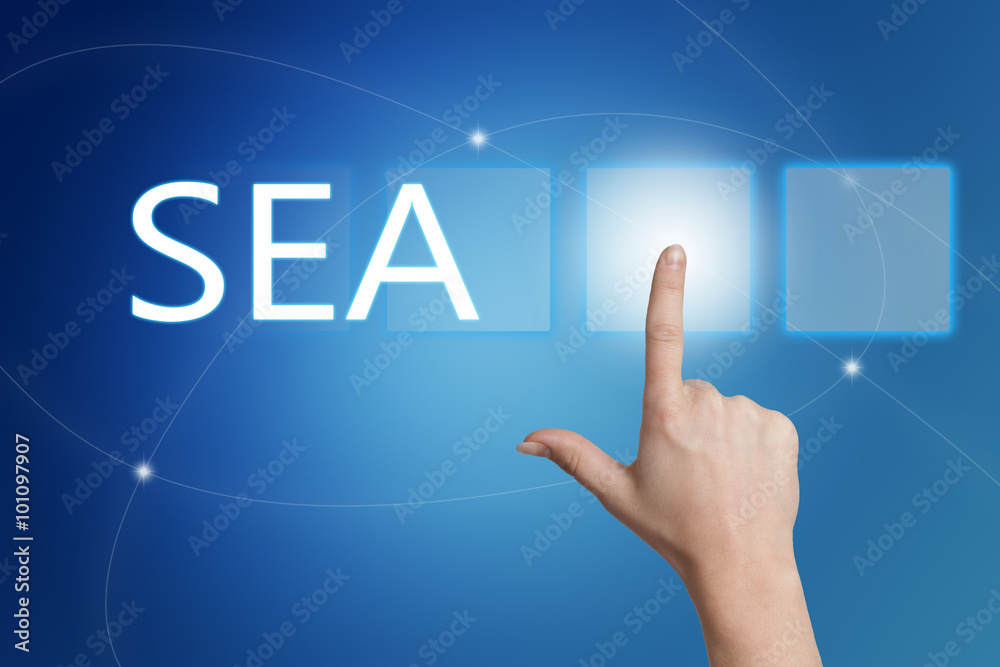 Search Engine Advertising Search Engine Advertising
