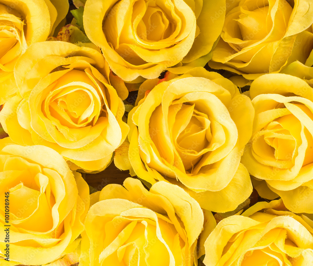 yellow rose flowers background