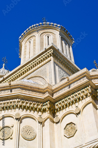 Church in Curtea de Arges  Romania