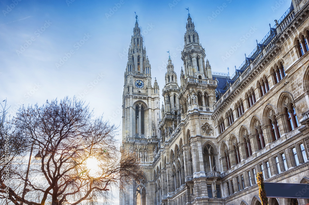Fototapeta premium detail of Rathaus of Vienna during winter Christmas market