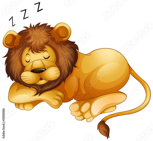 Cute lion sleeping alone