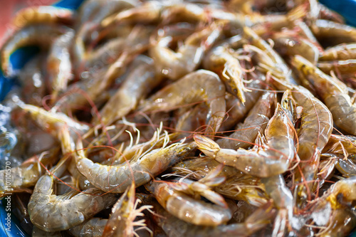 Fototapeta Naklejka Na Ścianę i Meble -  Seafood. Close Up Of Fresh Caught Gourmet Shrimps ( Prawns, Crustacean ) At Fish Market In Thailand, Asia. Healthy Food Ingredient. Nutrition, Diet And Vitamins.