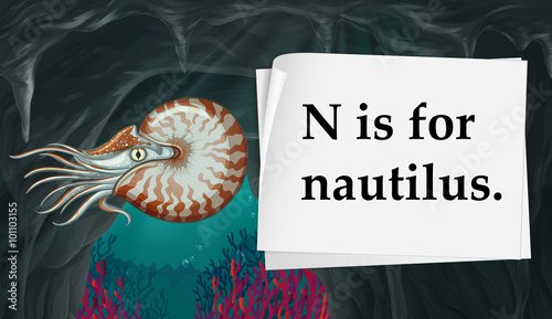 Letter N is for nautilus