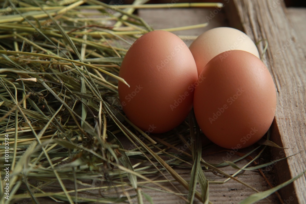 egg egg