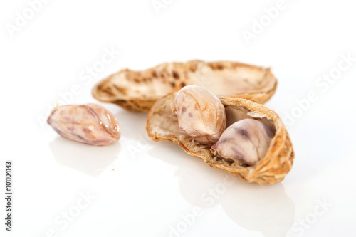 nut isolated on the white background , selective focus