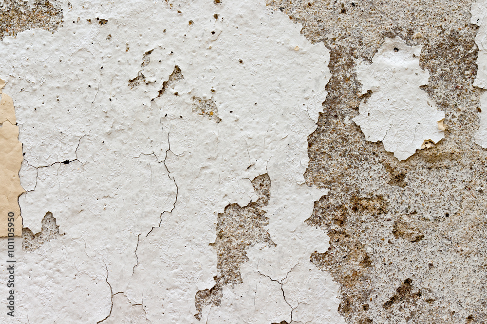 Obraz premium white concrete wall texture