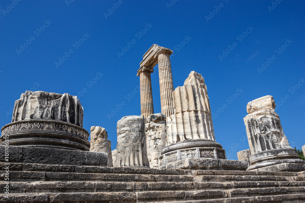 Part of the columns in Didim