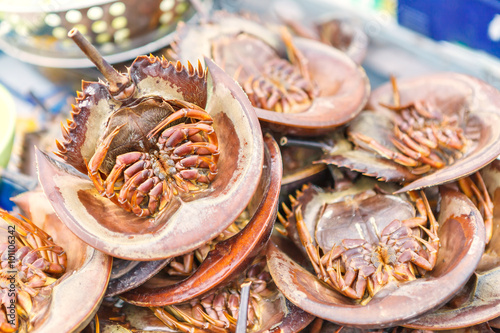 fresh horseshoe crab on a market stall in Thailand.