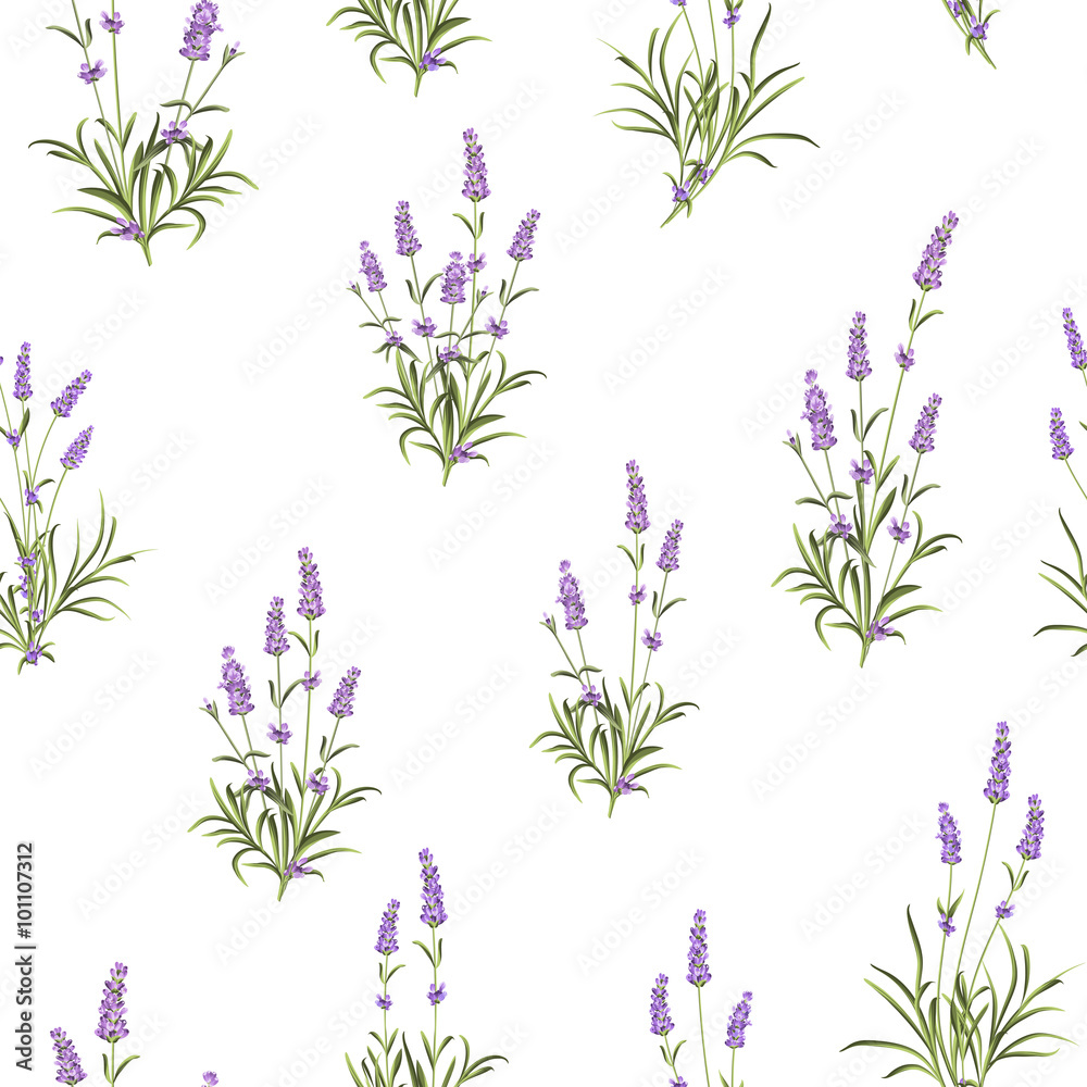 Naklejka The Lavender Seamless pattern.