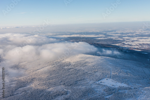aerial view of the forest in winter time