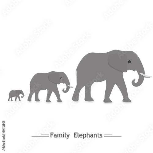 the family of elephants, three, logo, shadow © nipbom