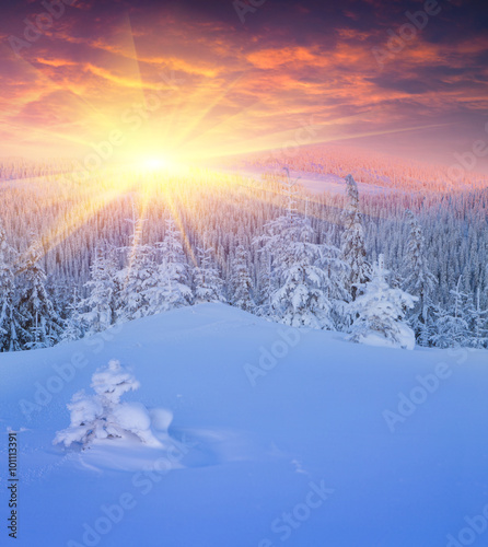 Colorful winter sunrise in mountains.