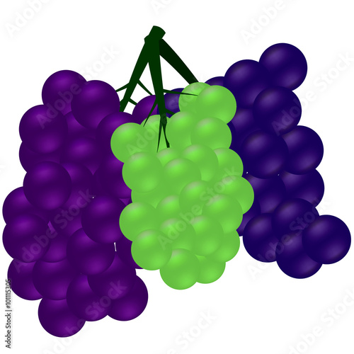 Three cluster of grapes
