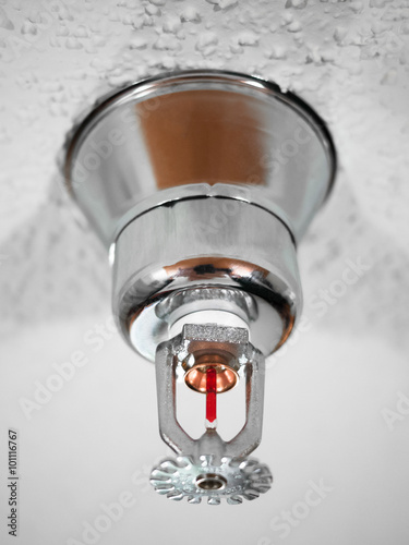 Fire Sprinkler Head