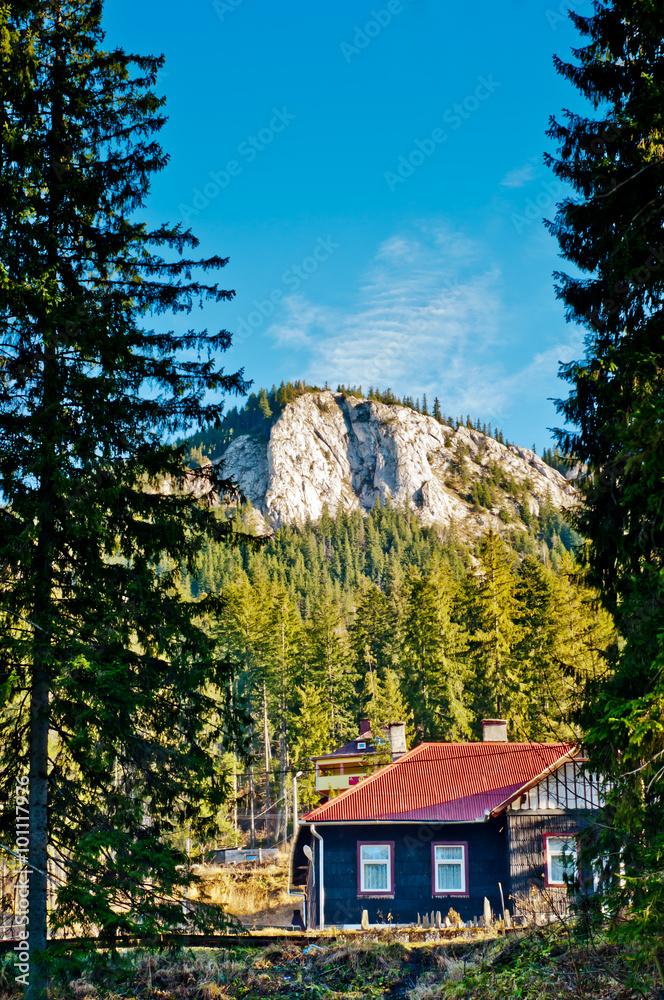 Mountain cabin landscape  in Romania Europe