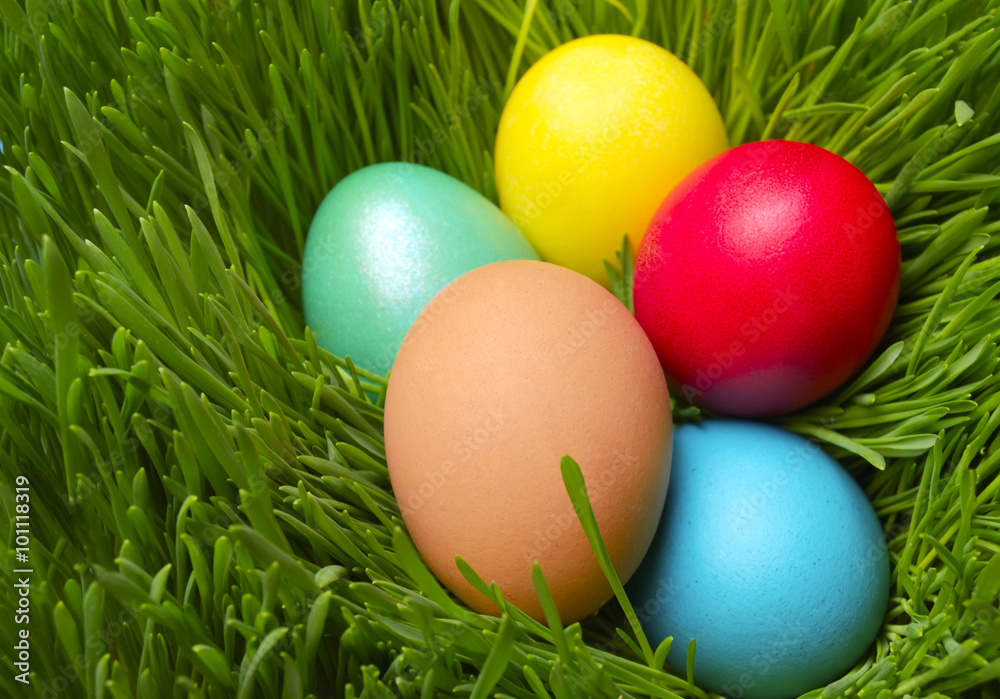 Easter eggs on green spring grass