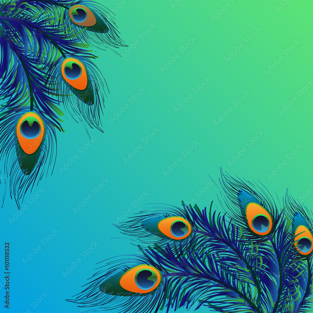 Background design with peacock feathers