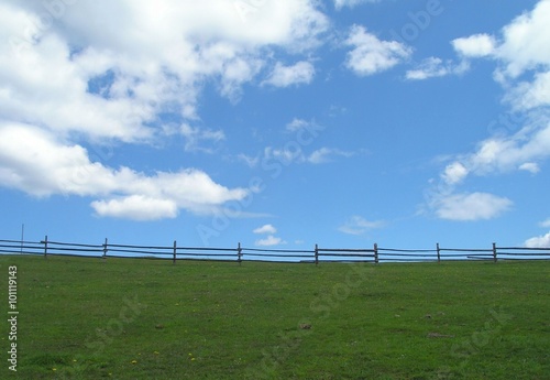 Green meadow and blue sky.