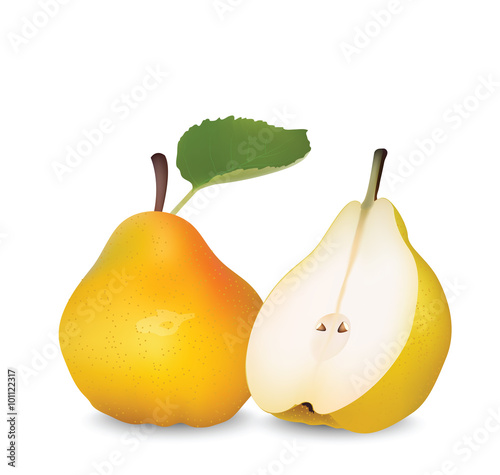 Pears for your design