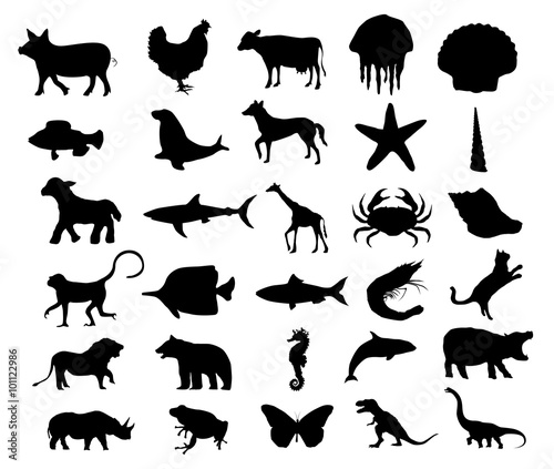 All things in the world vector set 1   animal   bug   dinosaur