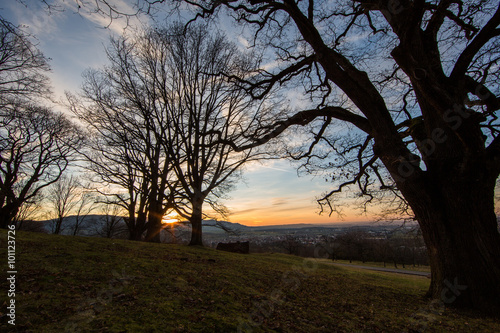 Albtrauf im Abendlicht