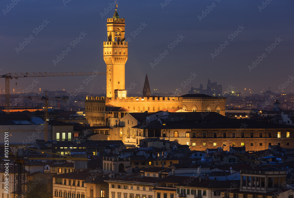 Naklejka premium Night Florence top view (Italy).