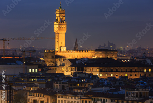 Night Florence top view (Italy).