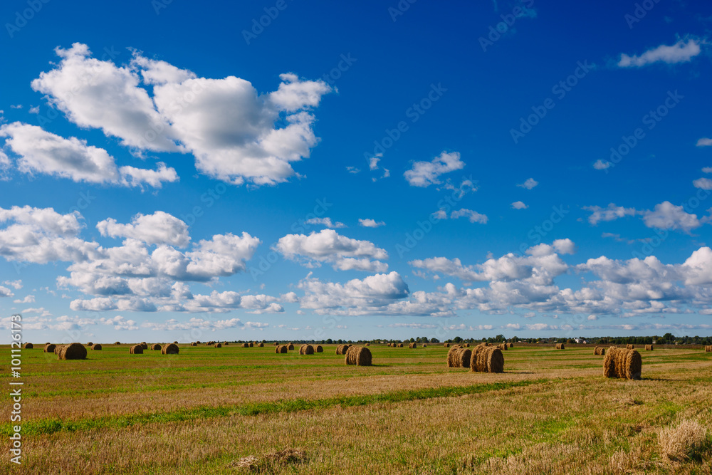 Fototapeta premium Haystacks